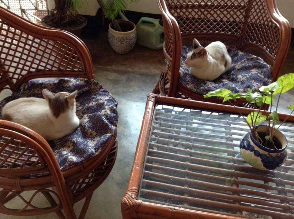 ये मोह-मोह के धागे